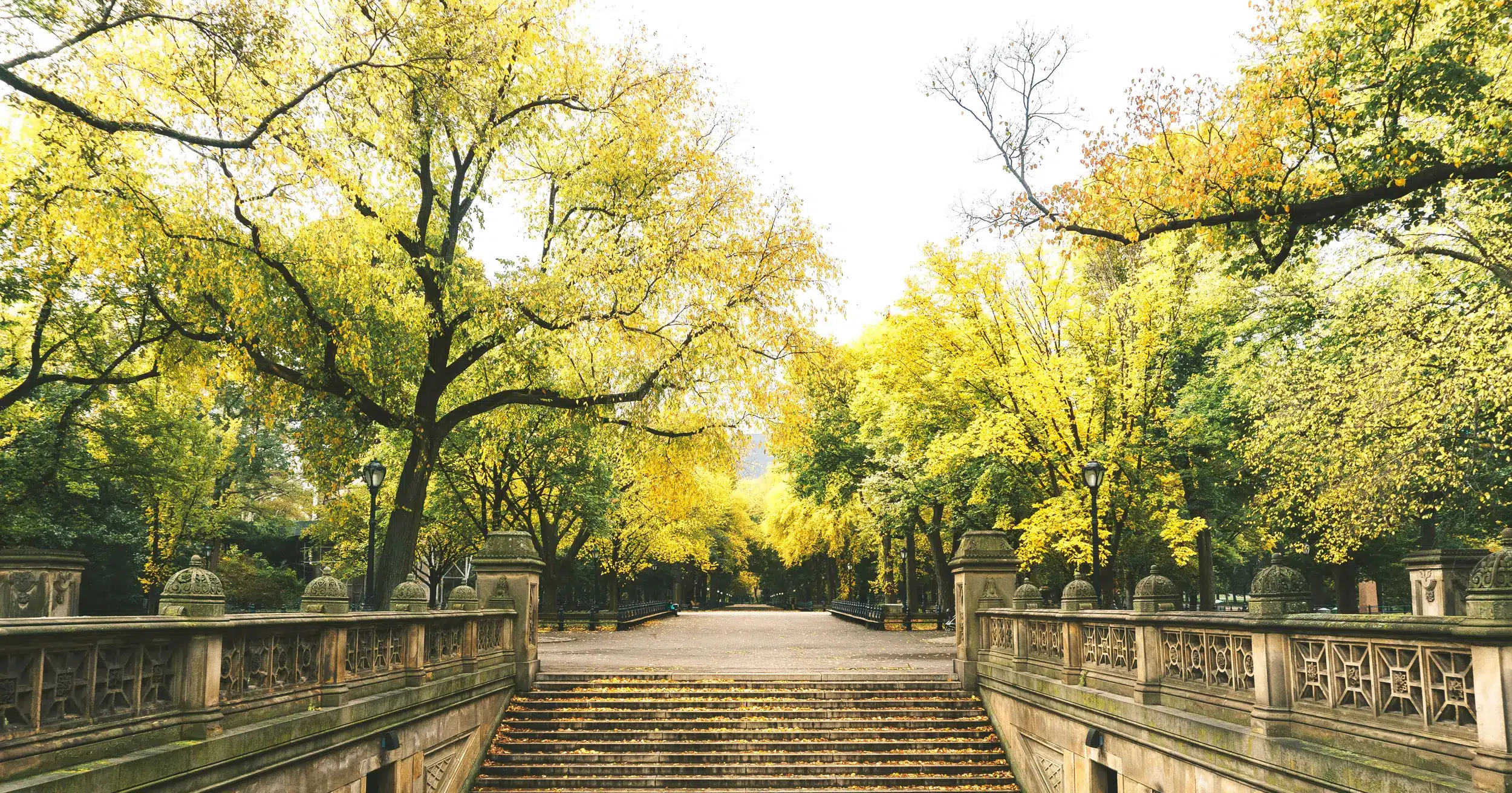 SSW Partners - Financial Services Website Redesign