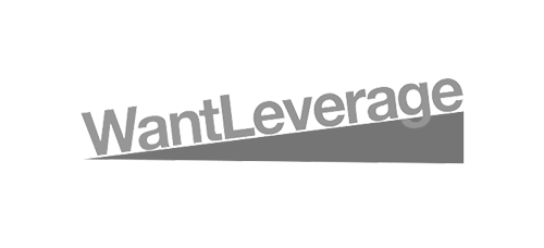 Want Leverage logo