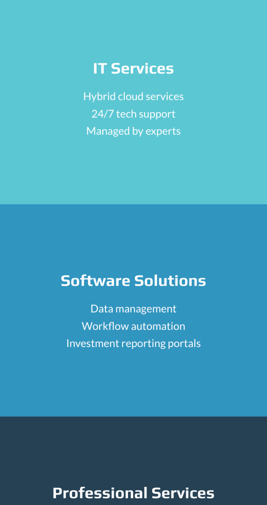 Three sections labeled IT Services, Software Solutions, and Professional Services, each with brief lists of related offerings, on colored backgrounds.