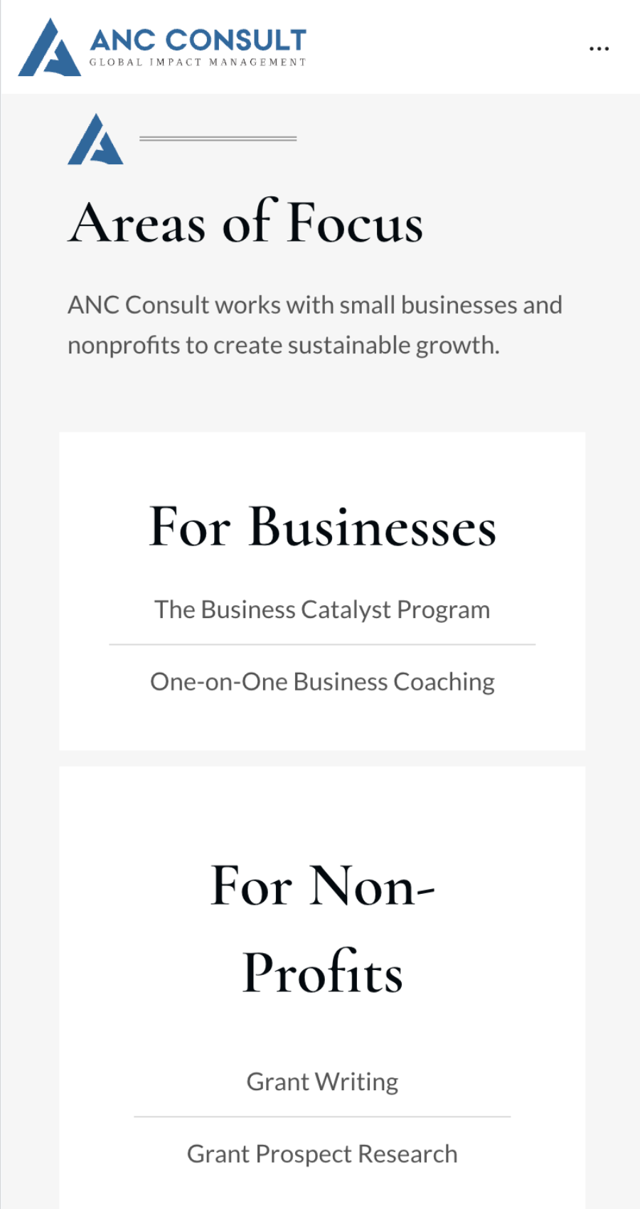 Screenshot of ANC Consult's services page showing areas of focus: business catalyst program and coaching for businesses, grant writing and research for non-profits.