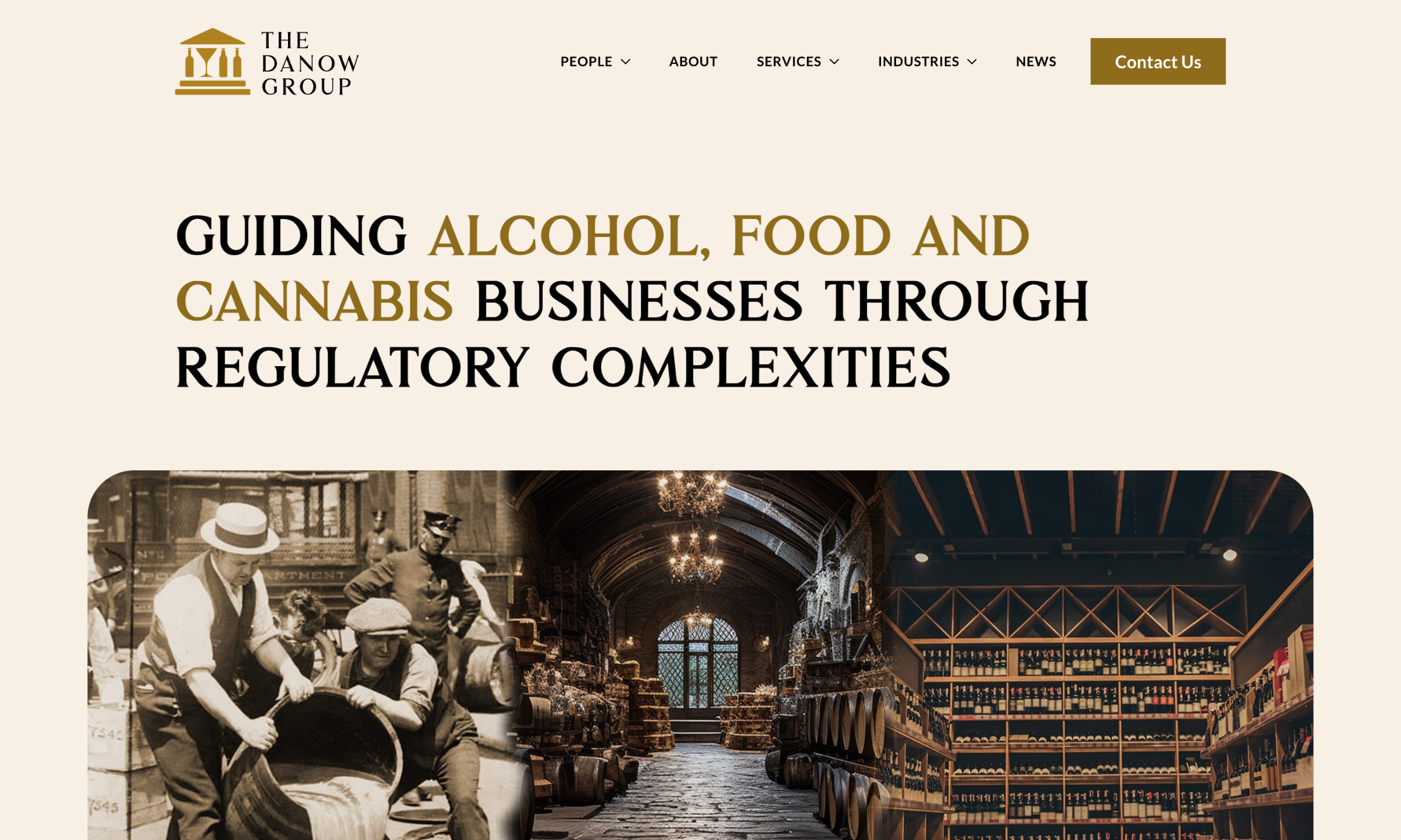 Website homepage for The Danow Group, featuring images of people in a vintage market, a grand hall, and shelves of goods, with a headline about regulatory guidance—showcasing exceptional web design for law firm and compliance-focused businesses.