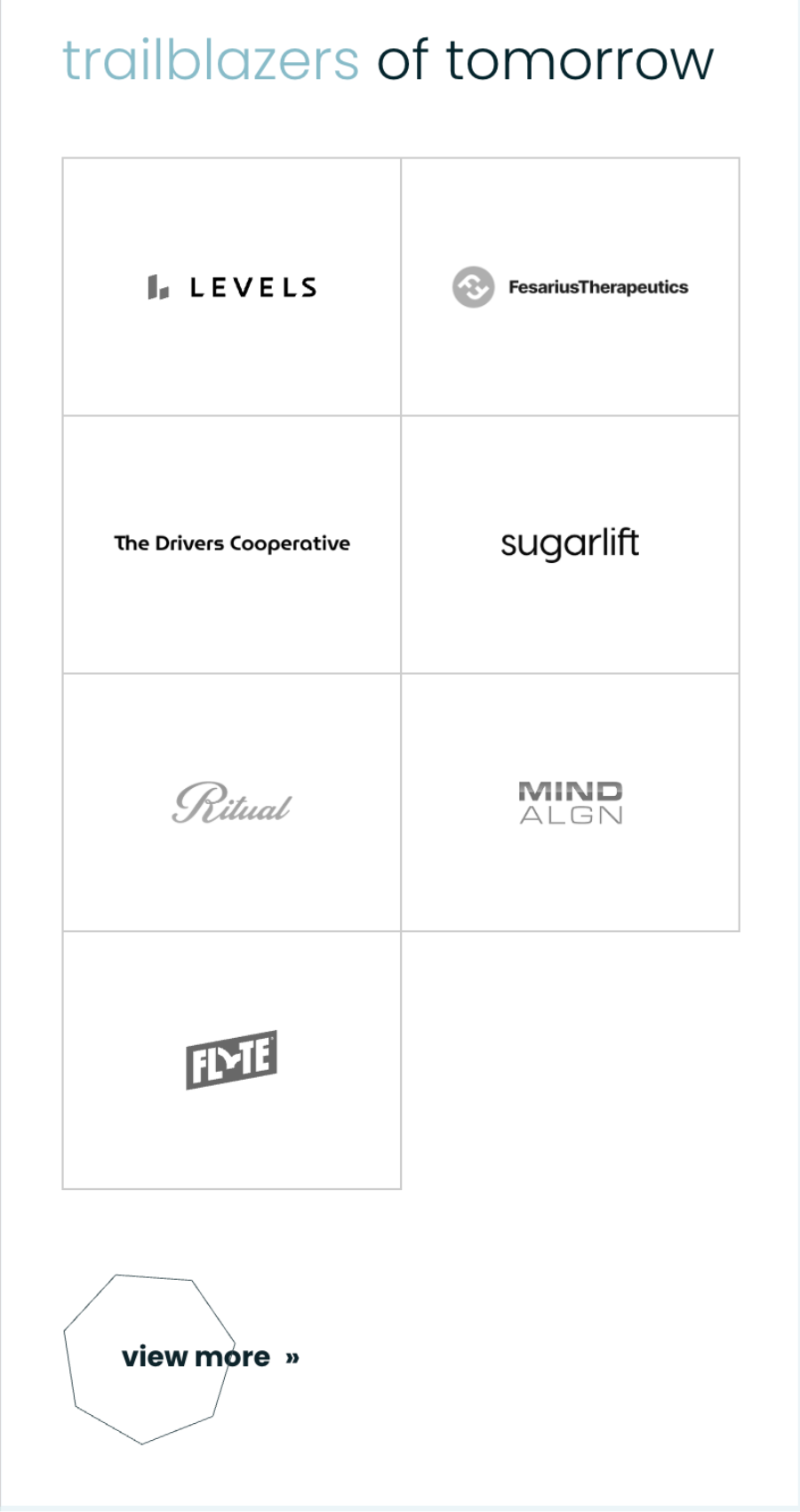 A grid displaying logos of seven companies—Levels, Fesarius Therapeutics, The Drivers Cooperative, Sugarlift, Ritual, MindAlign, and Flyte—inspired by clean website design for investment firms, with a "view more" button below.