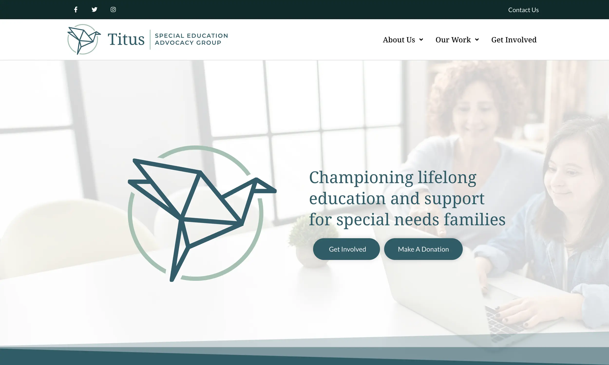 Homepage of Titus Special Education Advocacy Group—a special education website featuring a large origami bird graphic, a slogan about supporting special needs families, and buttons to get involved or donate.